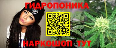 хмурый Дубна